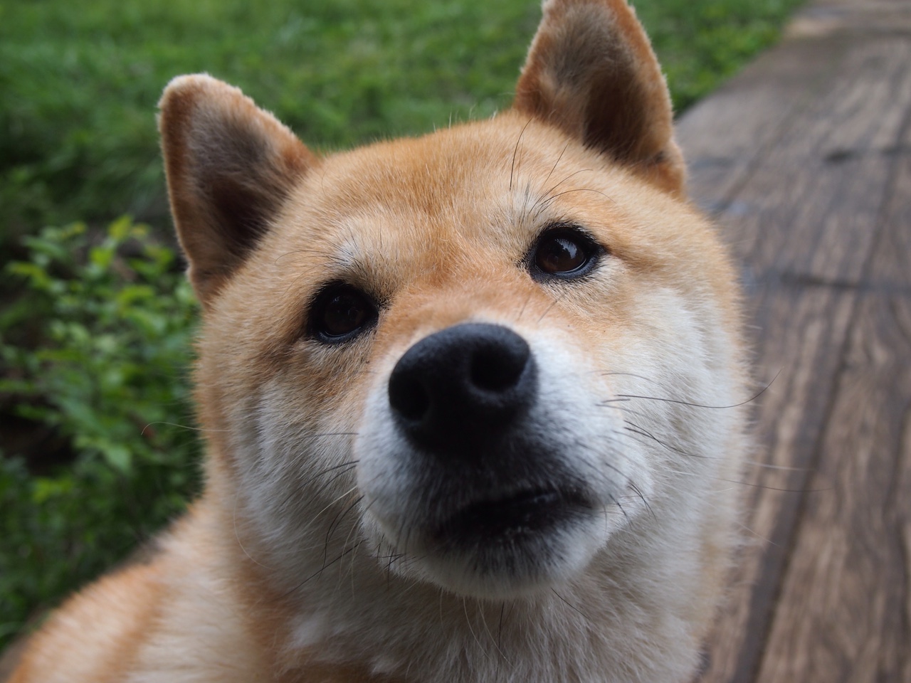 开云电竞app-VR电竞体验区开放，感受未来电竞魅力！，vr电竞比赛视频