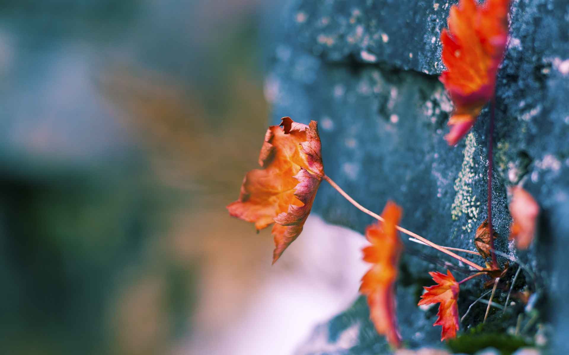 开云体育登陆入口-_魔术队展现韧性，逆转战局赢得比赛_，魔术队百度百科