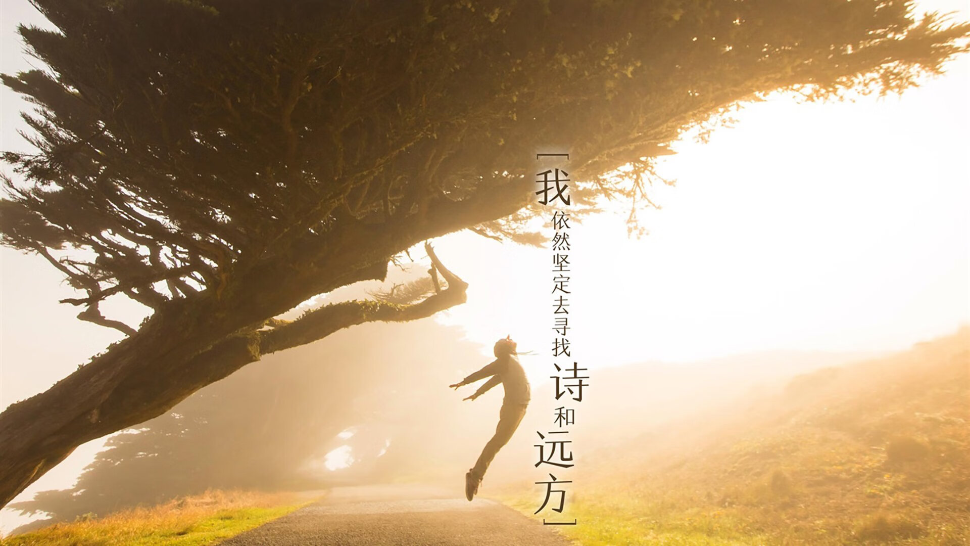 开云网页版-“基层足球推广项目不断深入，青少年免费培训受欢迎”，开展青少年足球培训需要什么资质