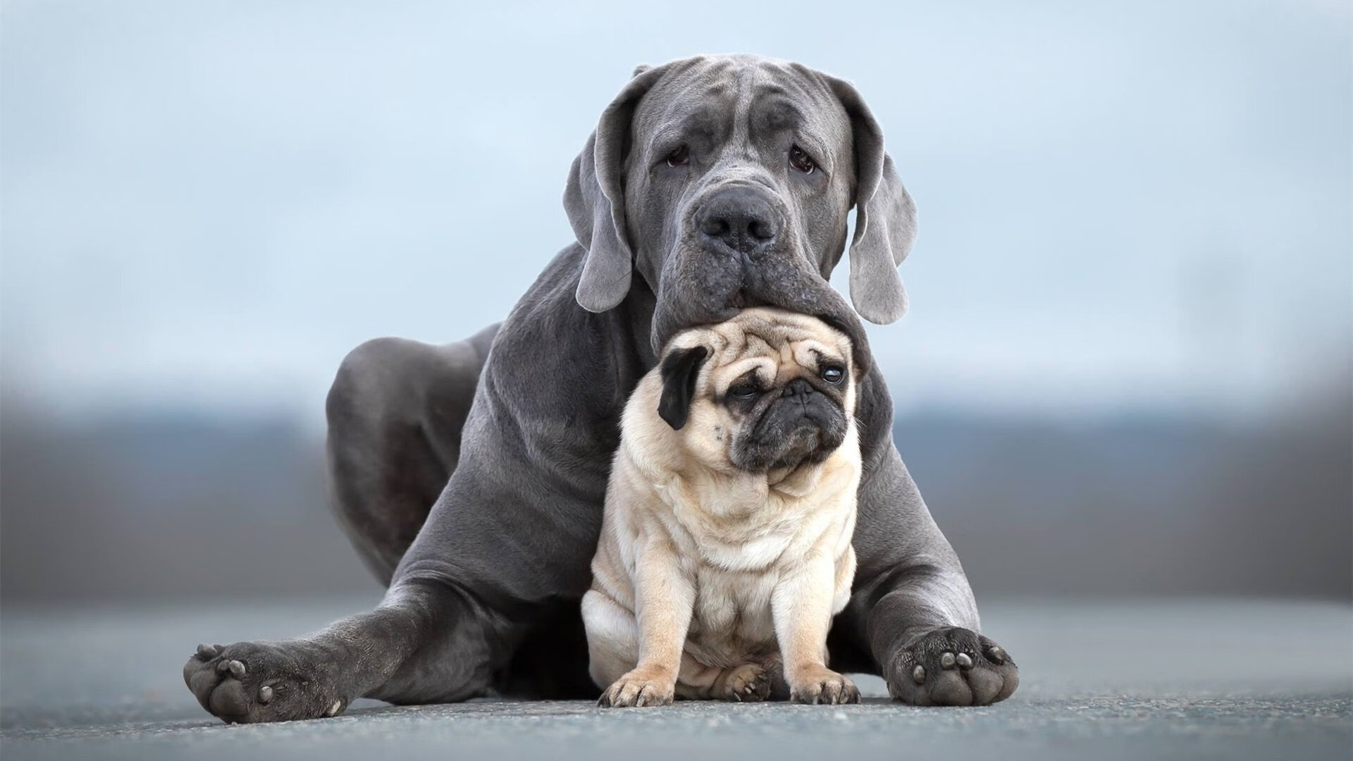 开云官网首页-冰雪旅游火爆，滑雪爱好者春节涌入东北赛道，东北滑雪圣地